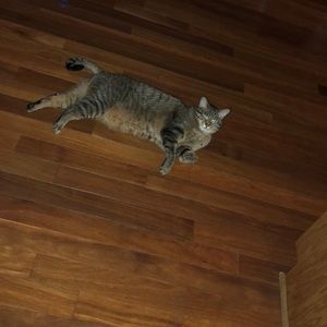 Meet your Posher, Jericho